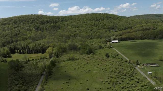 $990,000 | 4529 Rt-28, Milford, NY 13807