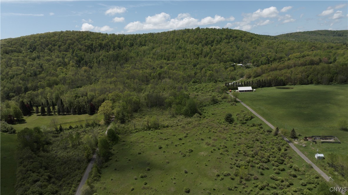 4529 Rt-28 Milford, NY 13807 - Photo 17 of 23