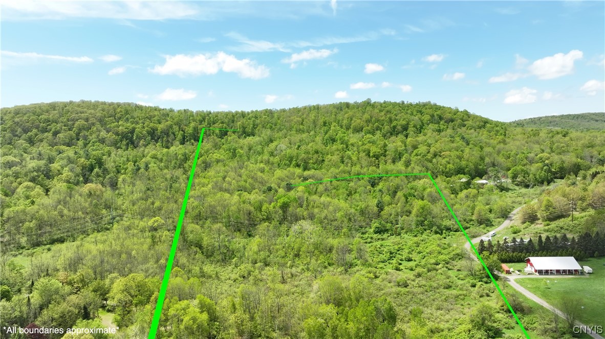 4529 Rt-28 Milford, NY 13807 - Photo 22 of 23