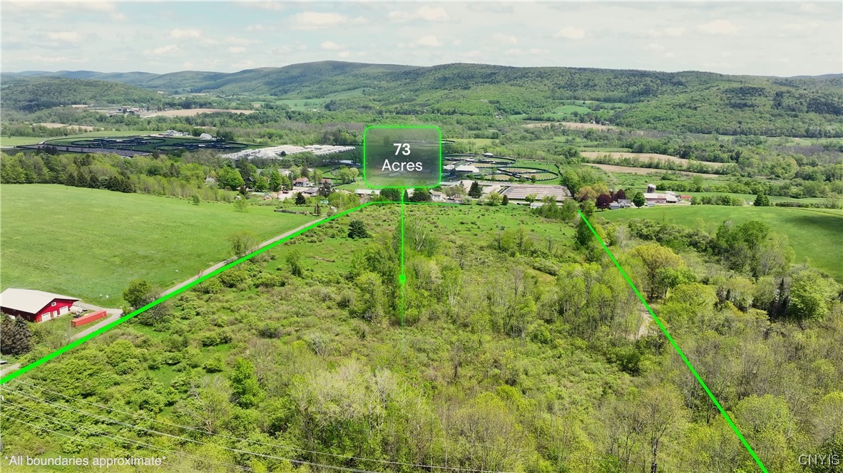 4529 Rt-28 Milford, NY 13807 - Photo 6 of 23