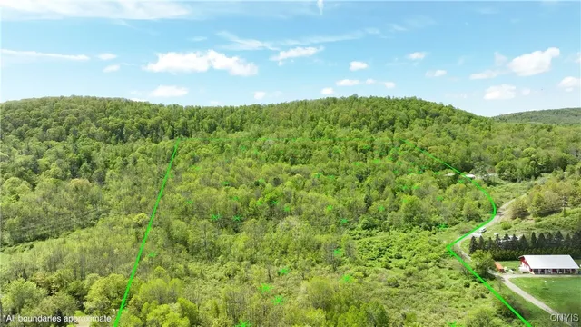 $990,000 | 4529 Rt-28, Milford, NY 13807