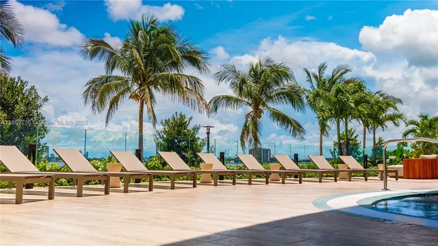 an outdoor space with palm trees