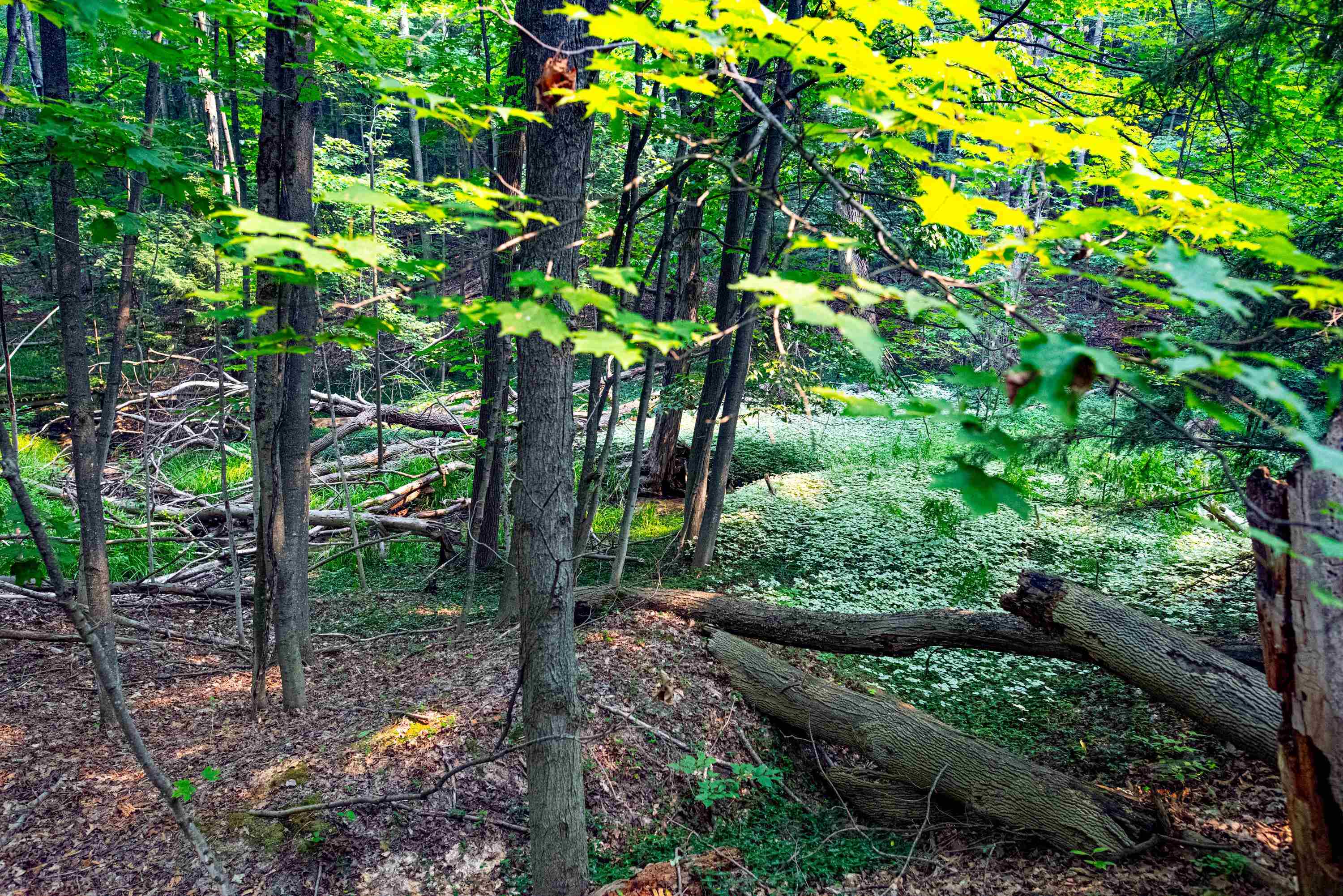 0 East Grandview Road Traverse City, MI 49684 - Photo 16 of 24