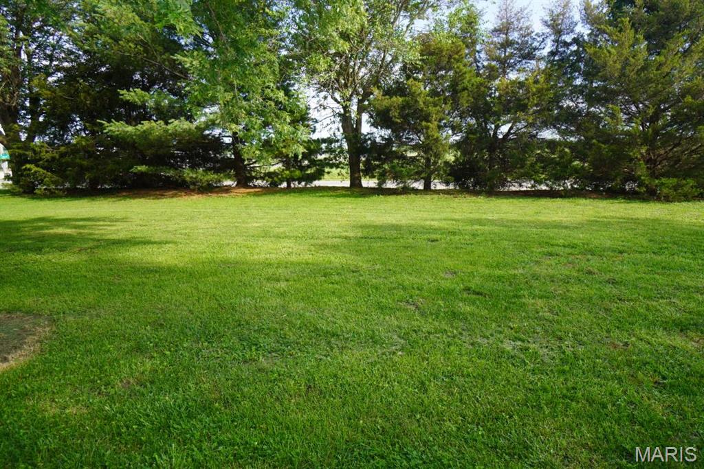 9965 Fruit Road Alhambra, IL 62001 - Photo 6 of 63