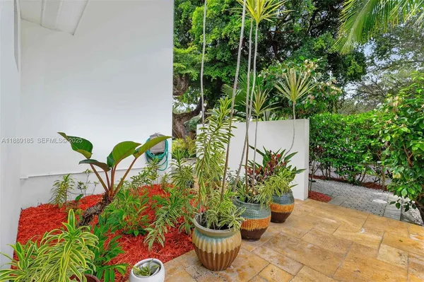a view of a potted plant in front of a door