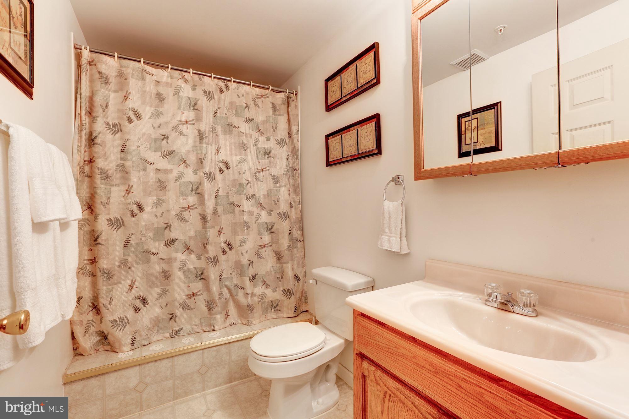 1009 Gullo Road New Windsor, MD 21776 - Photo 22 of 27 Basement Bath