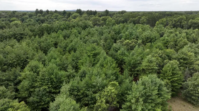$13,310 | Lot 22 Sandy Pines, Redgranite, WI 54970