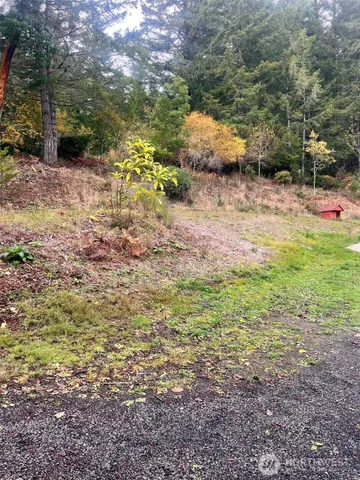 a view of a yard with plants and trees