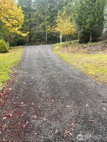 a view of a backyard with large trees
