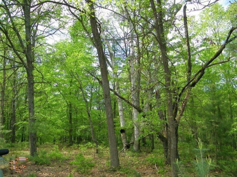 13 East 13 Mile Road Paris, MI 49338 - Photo 6 of 6 100_1980 (800x600)