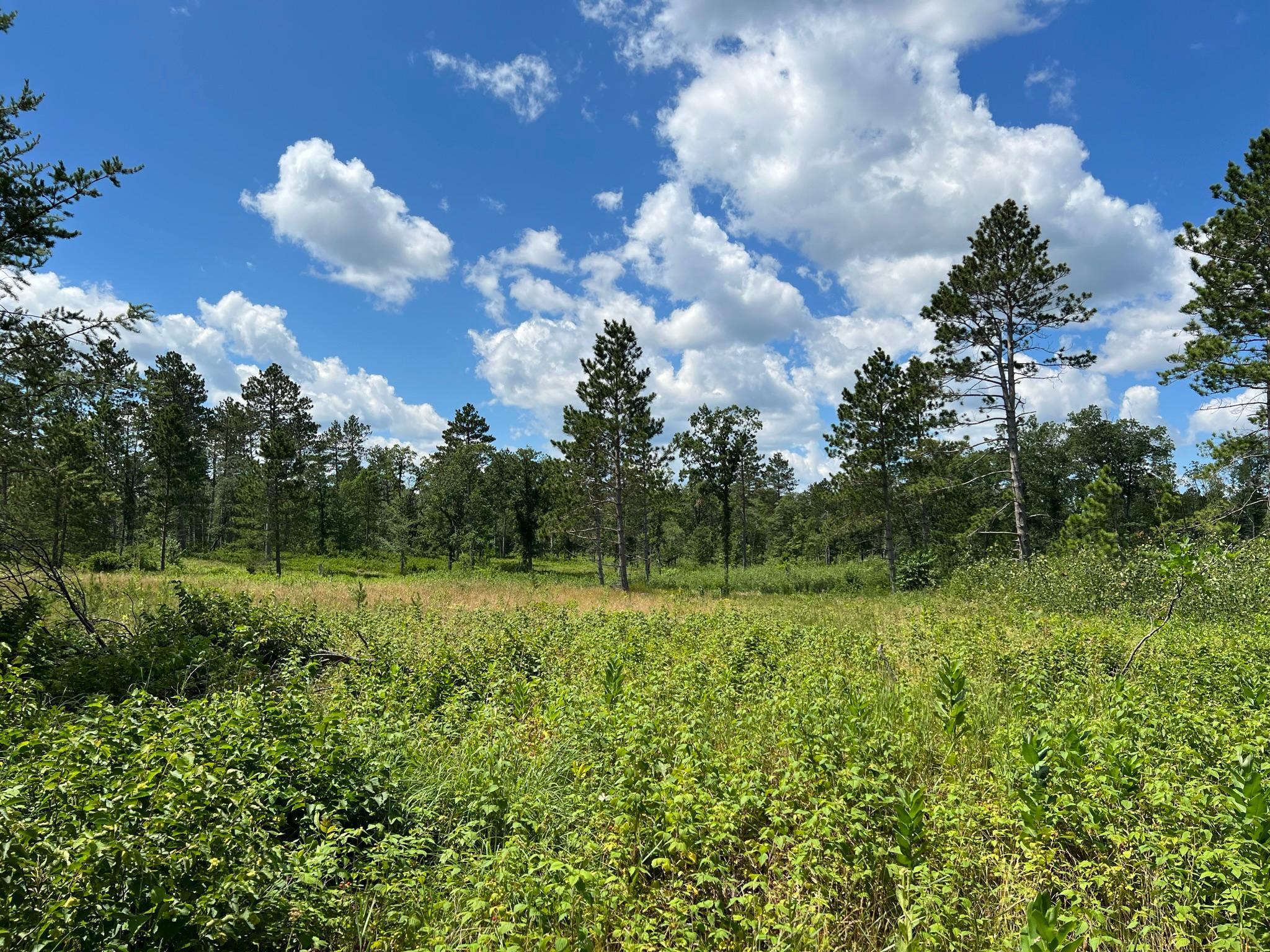 6005 Oakdale Road Baxter, MN 56425 - Photo 6 of 11