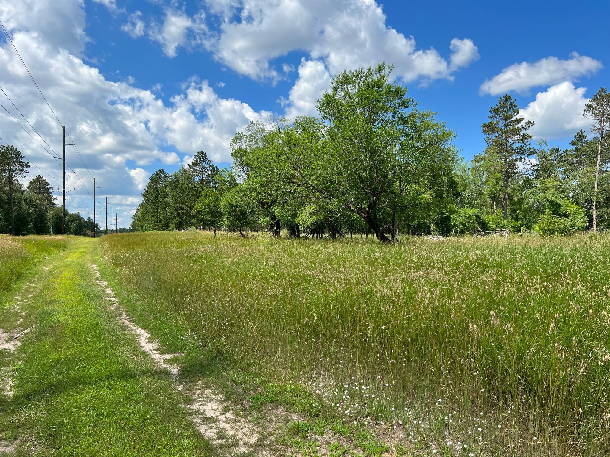 6005 Oakdale Road Baxter, MN 56425 - Photo 7 of 11