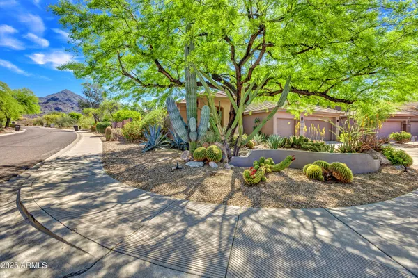 a view of a backyard with plants and trees