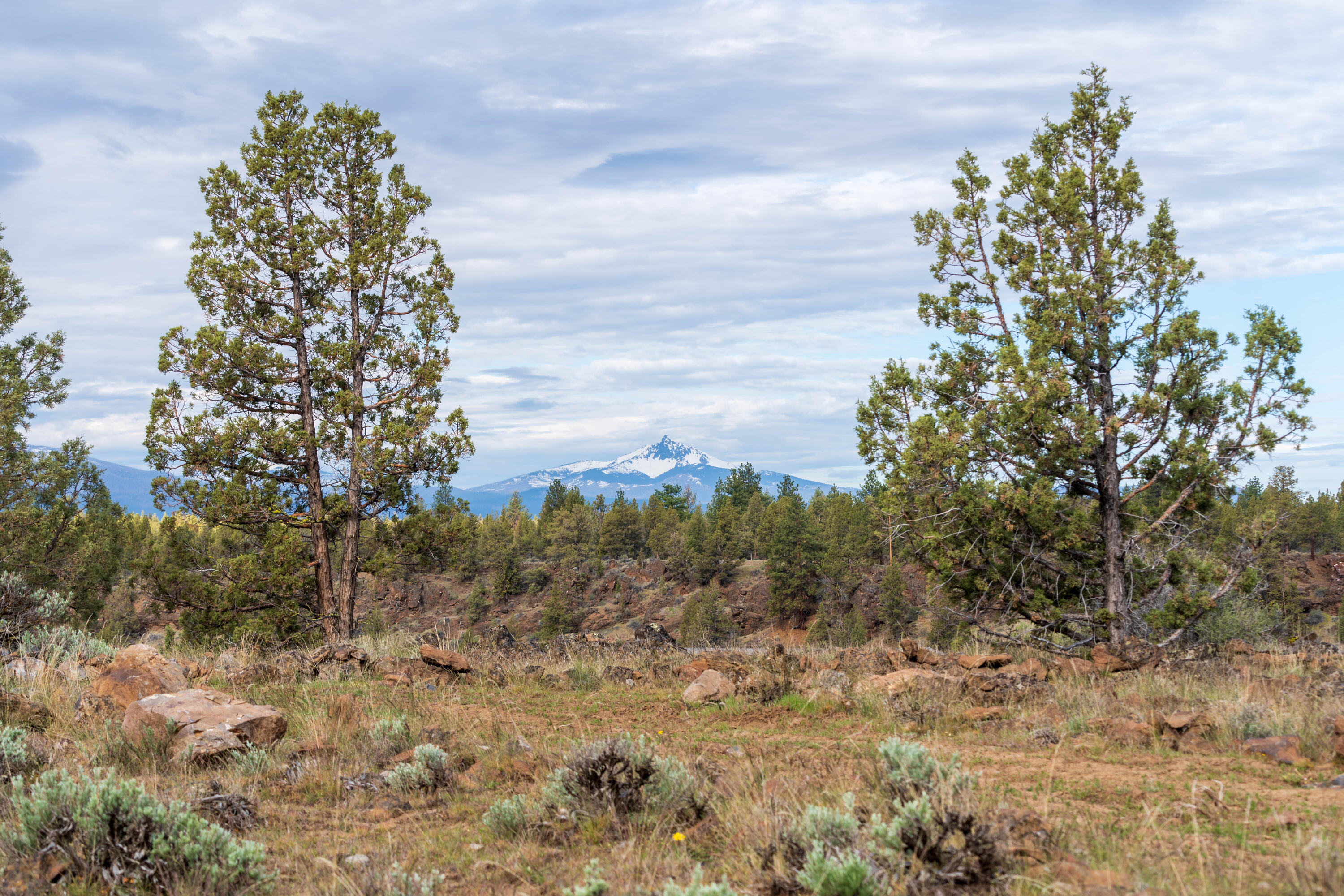69740 McKenzie Canyon Road Sisters, OR 97759 - Photo 2 of 45 Mt. Washington