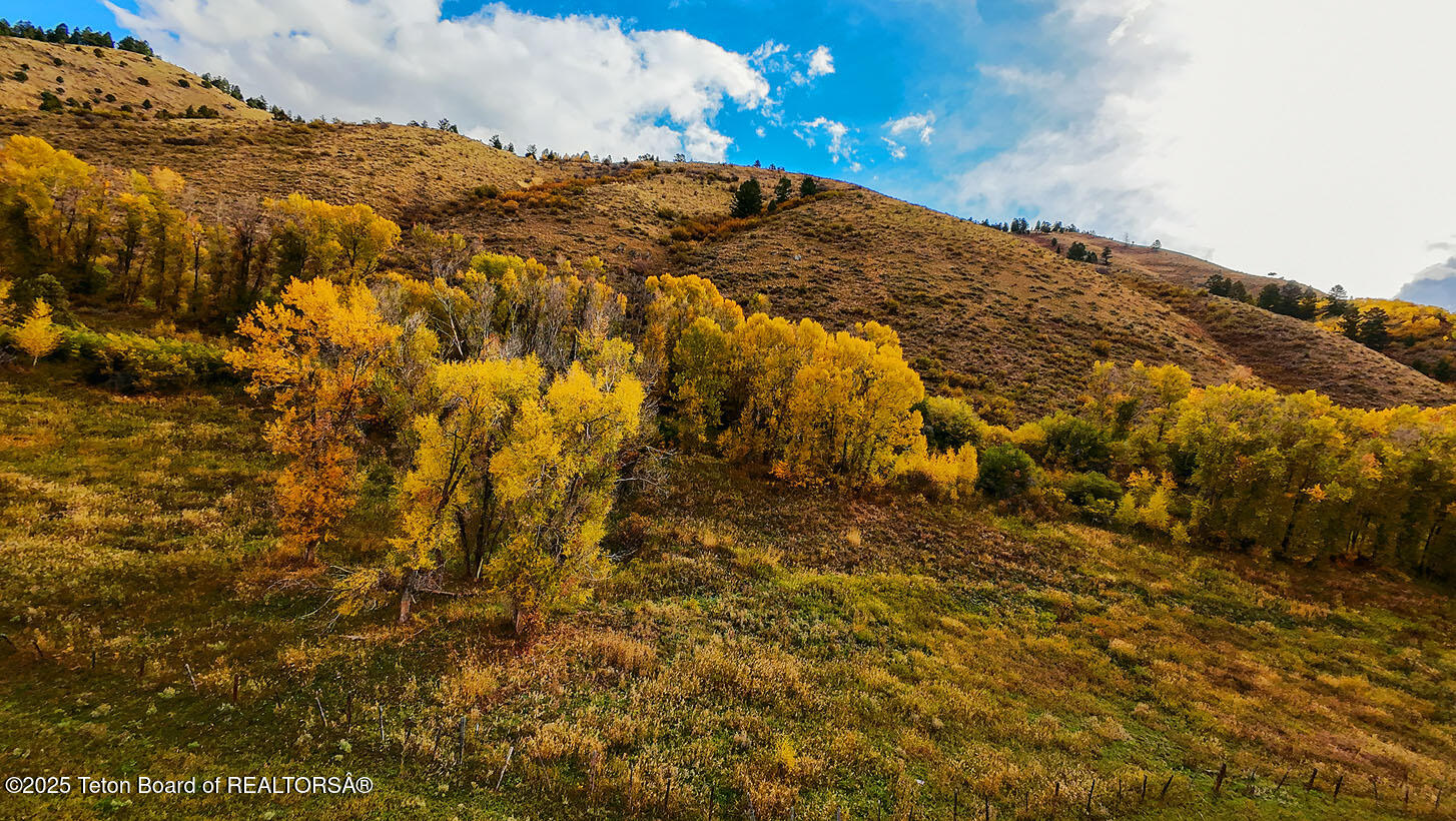 70-acres Twin Cliffs Road Afton, WY 83110 - Photo 17 of 52 70 acres a2086