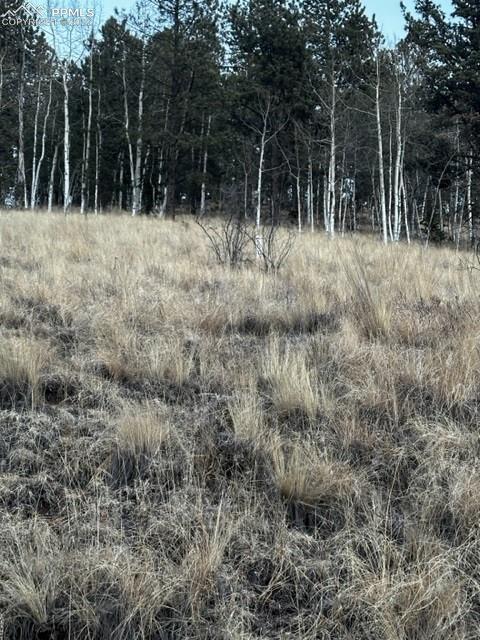 200 Beaver Pond Road Divide, CO 80814 - Photo 1 of 4 Gallery Image 1
