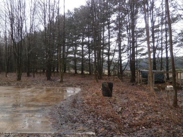 1164 March Road Jefferson, OH 44047 - Photo 7 of 9 Gallery Image 7