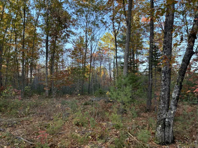 $55,000 | Lot 16-2) Lot 16-2) Whittier Road, Wilton, ME 04294