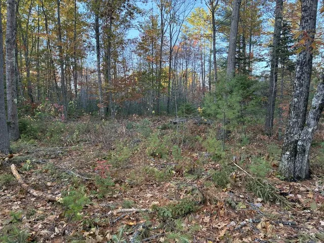 $55,000 | Lot 16-2) Lot 16-2) Whittier Road, Wilton, ME 04294