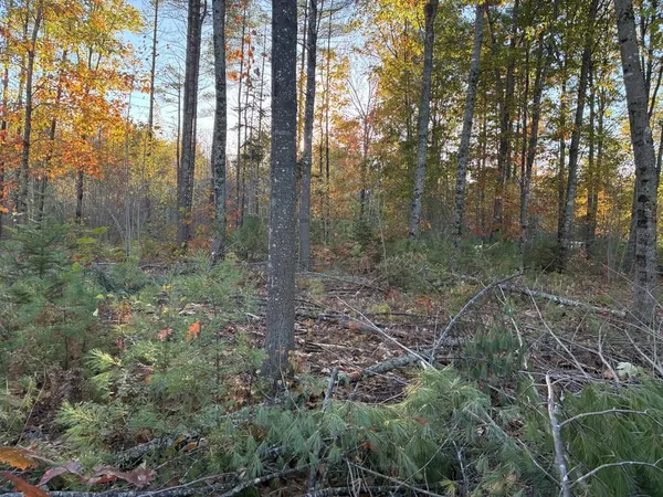 $55,000 | Lot 16-2) Lot 16-2) Whittier Road, Wilton, ME 04294