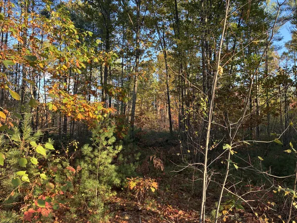 $55,000 | Lot 16-2) Lot 16-2) Whittier Road, Wilton, ME 04294