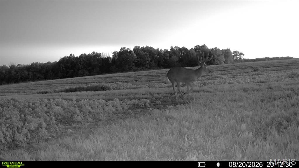 0 Terry Park Road Palmyra, IL 62674 - Photo 18 of 73 Gallery Image 18