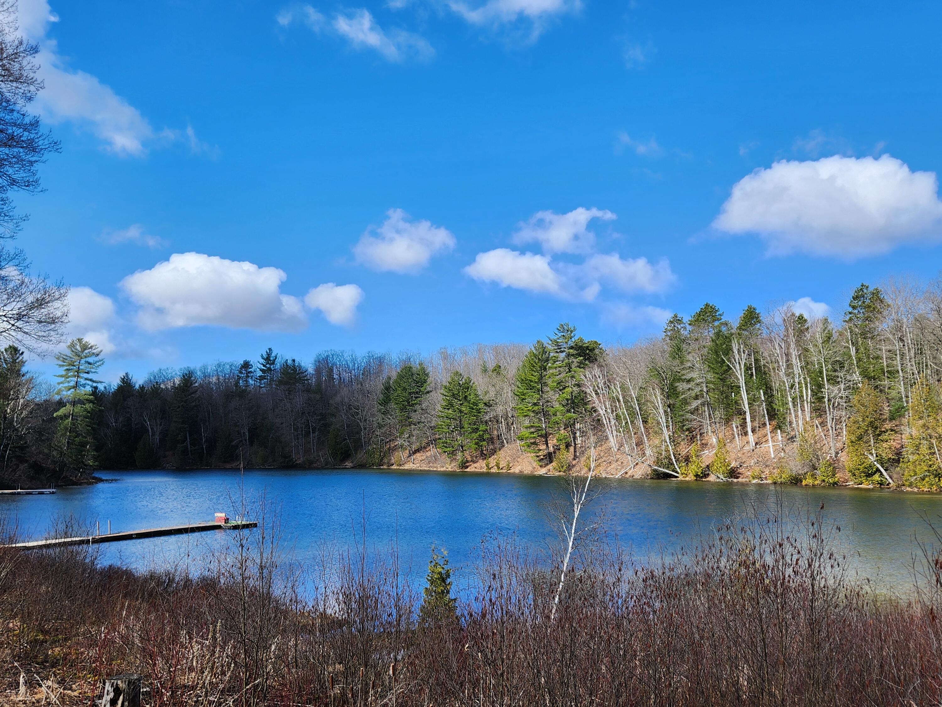 10246 Otter Road Gaylord, MI 49735 - Photo 2 of 41 Gallery Image 2