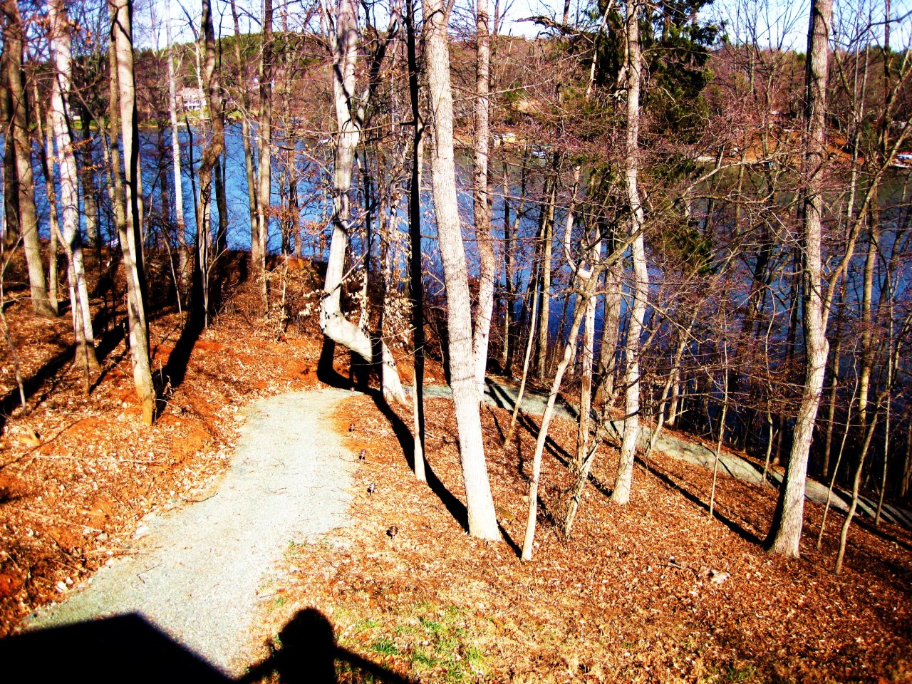 572 Major Holland Road Union Hall, VA 24176 - Photo 32 of 50 Path to Lake from Deck & Lake Level!