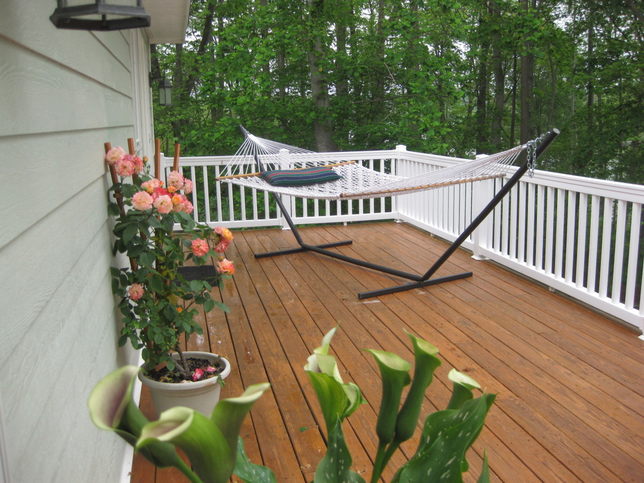 572 Major Holland Road Union Hall, VA 24176 - Photo 42 of 50 Deck for Entertaining! ... or Naps!