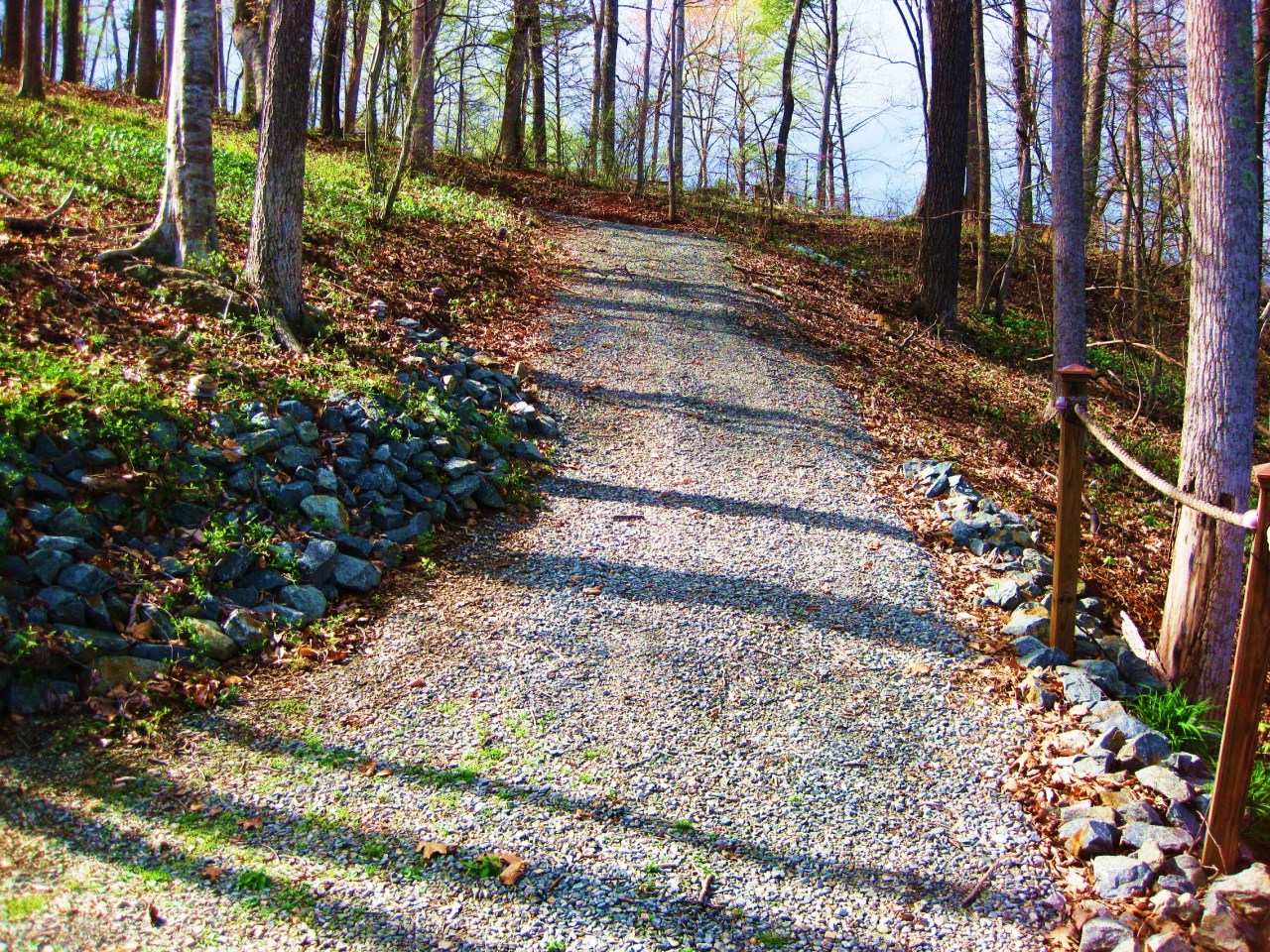 572 Major Holland Road Union Hall, VA 24176 - Photo 43 of 50 To Lake.....Golf Cart Path!