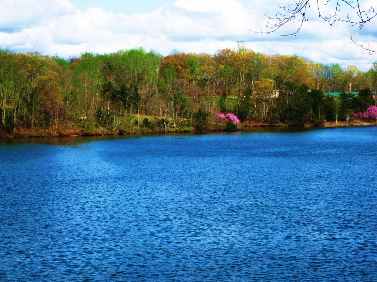 572 Major Holland Road Union Hall, VA 24176 - Photo 47 of 50 View Across Lake from Dock!