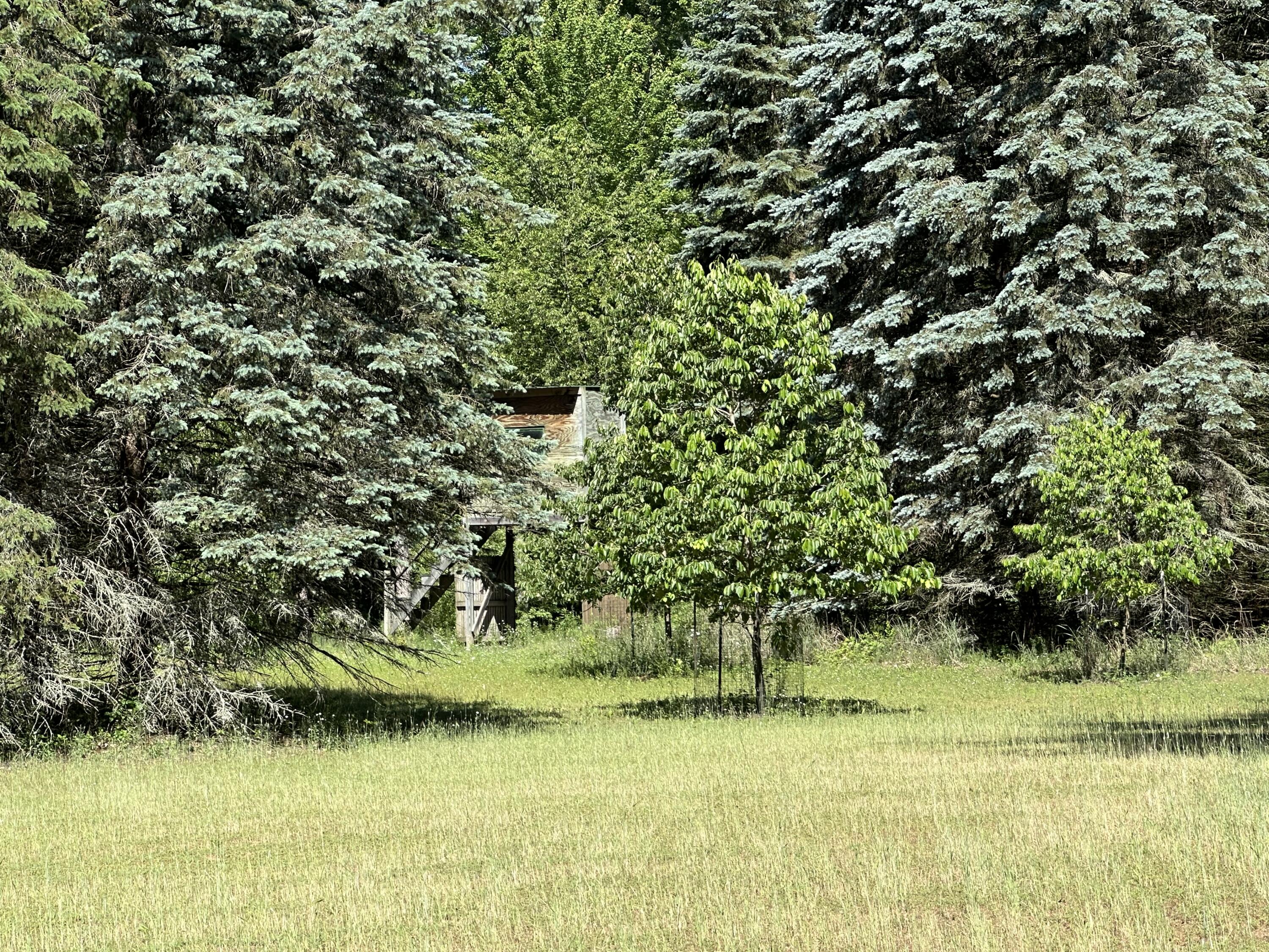 4485 South Miles Road Sheridan, MI 48884 - Photo 60 of 79 IMG_3667
