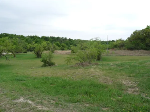 a view of grassy field with trees