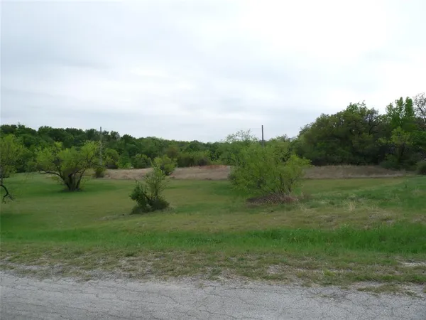 a view of a field of grass and trees