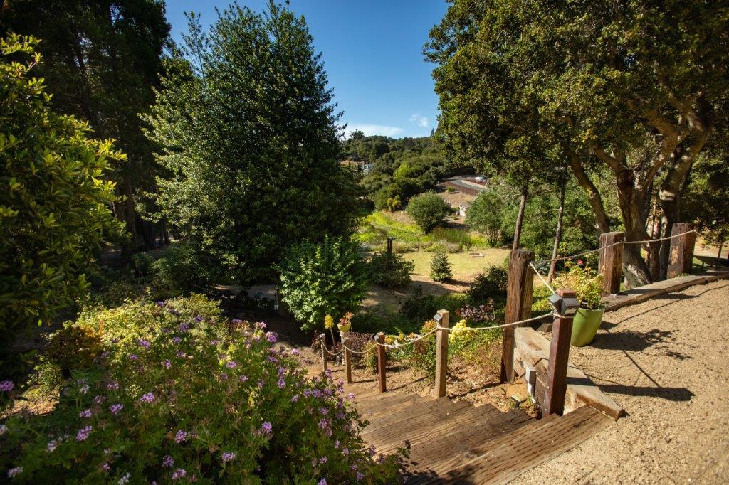 130 Strawberry Road Watsonville, CA 95076 - Photo 21 of 27 a view of yard