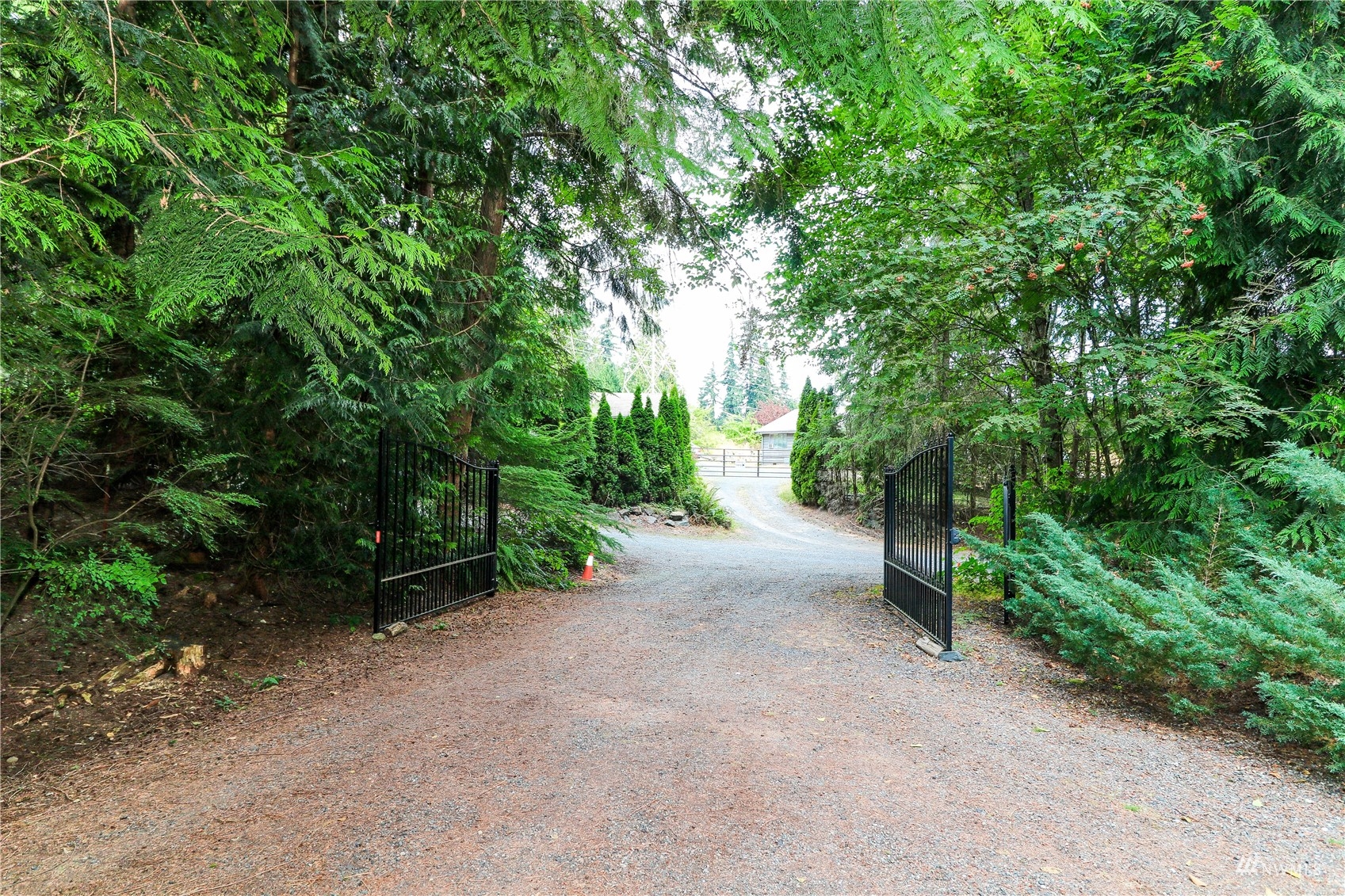 16530 35th Avenue Southeast Bothell, WA 98012 - Photo 12 of 24 a view of a forest with trees in front of it
