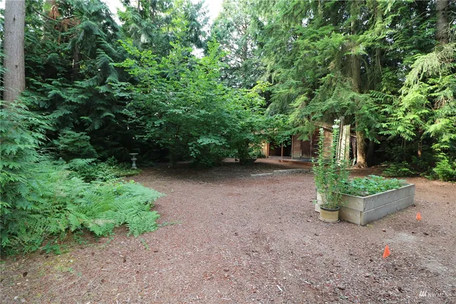 a view of a garden with plants