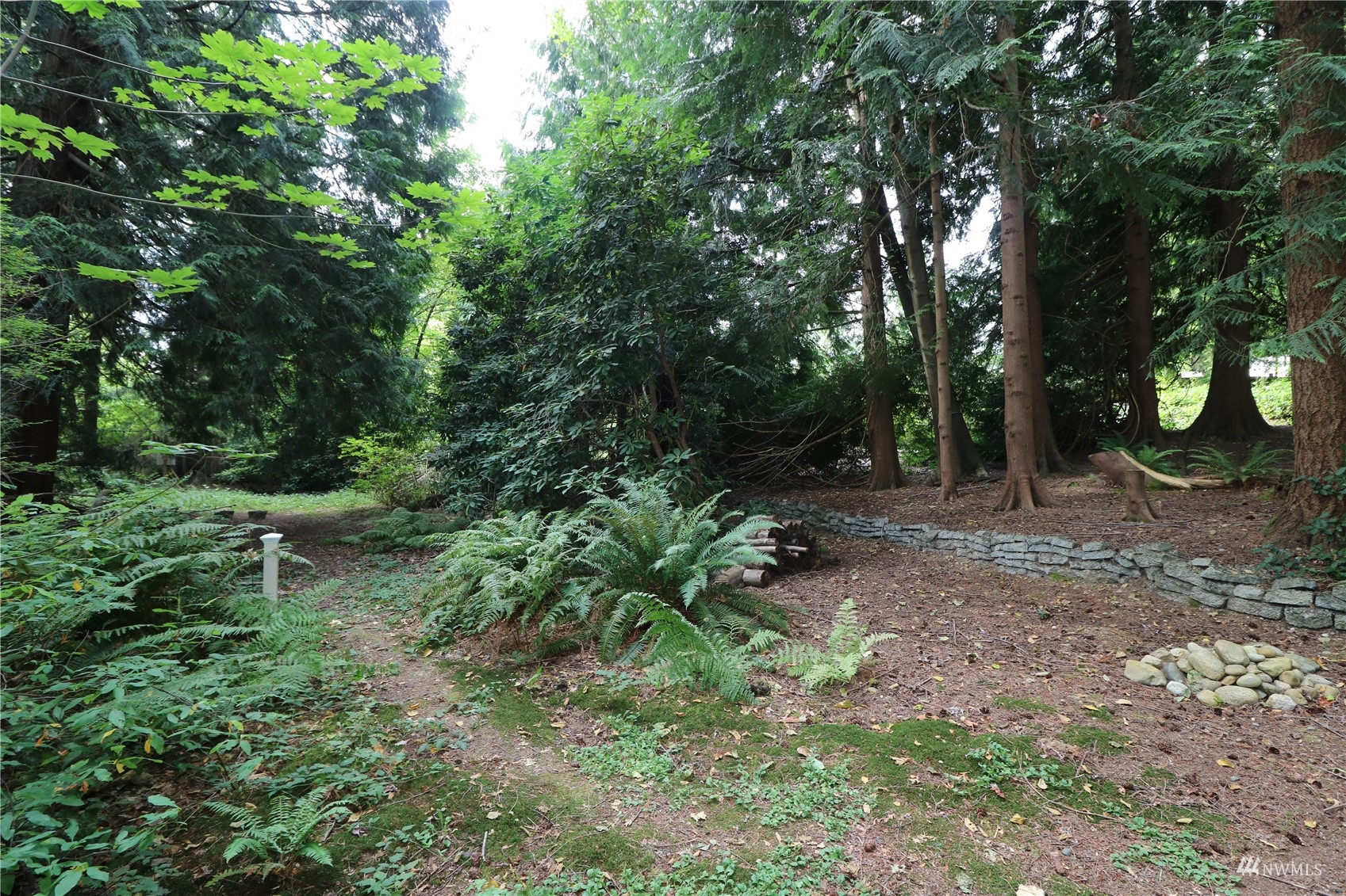 16530 35th Avenue Southeast Bothell, WA 98012 - Photo 20 of 24 a view of outdoor space and tree