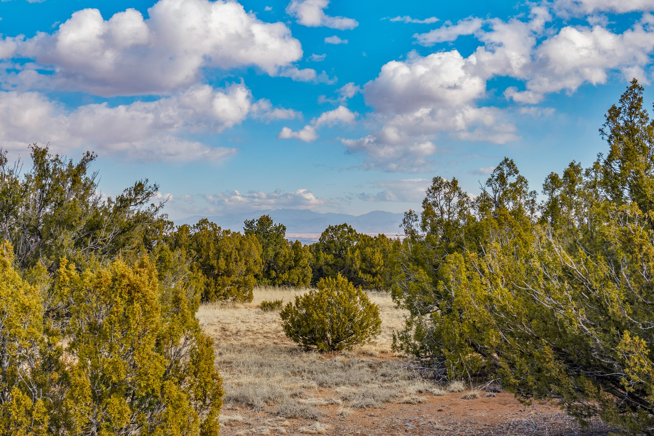 156 Wagon Trail Road Cerrillos, NM 87010 - Photo 14 of 24