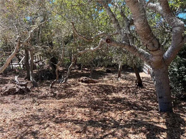 a backyard of a house with lots of trees