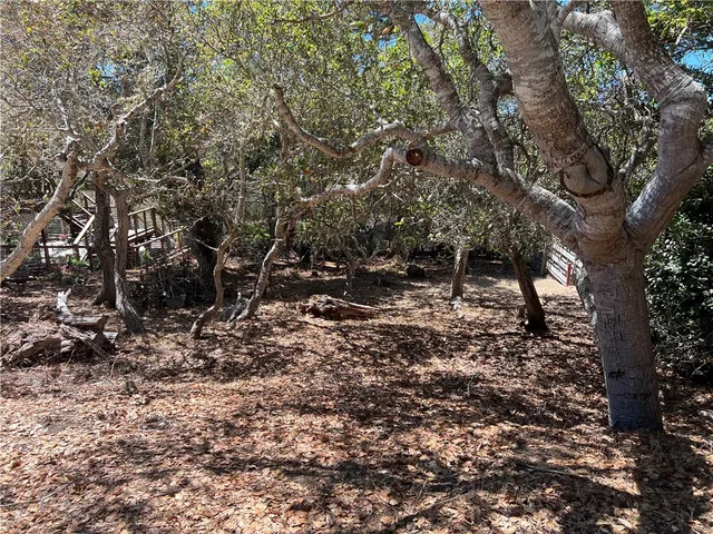a backyard of a house with lots of trees