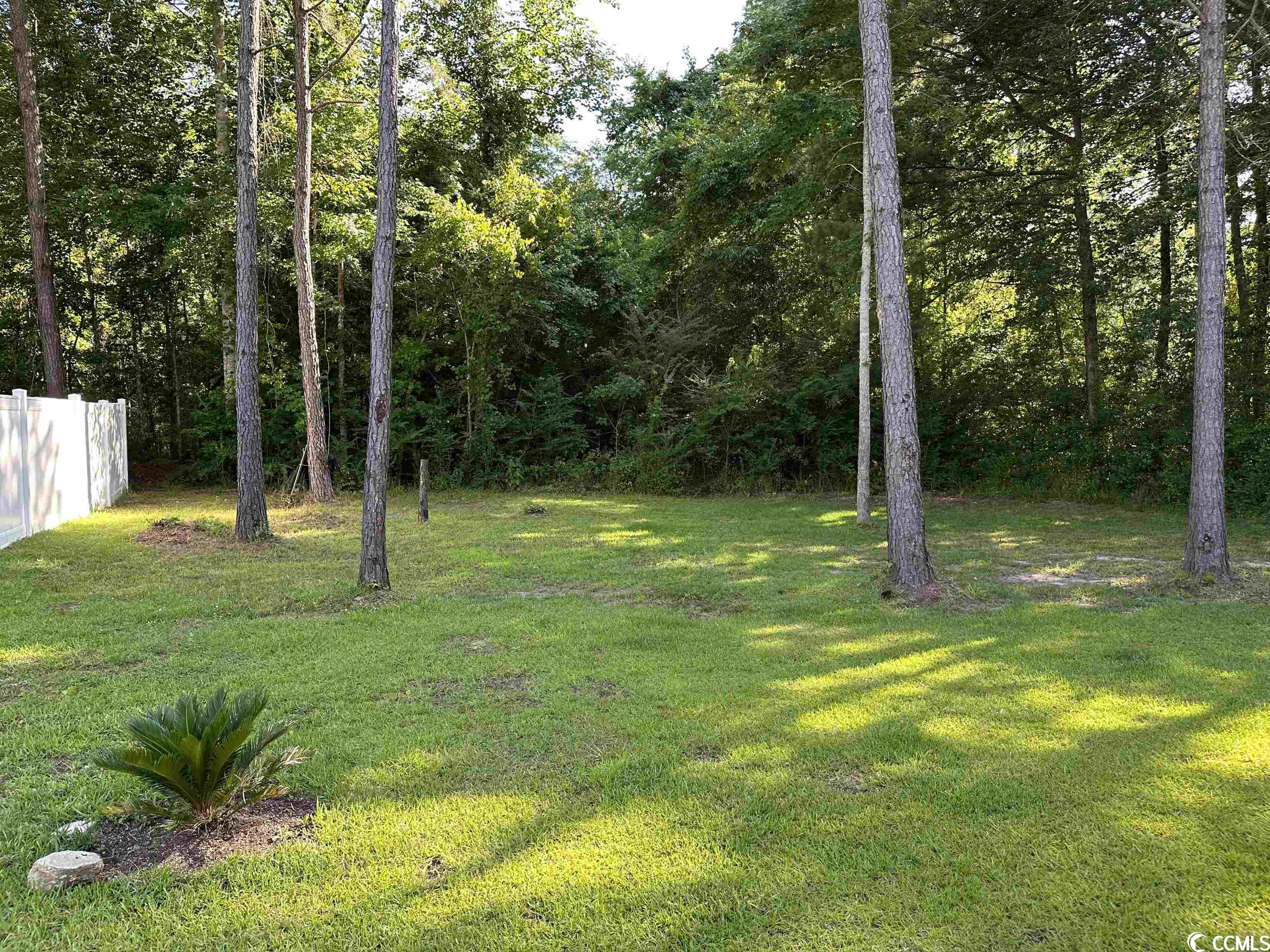2810 Hardee Avenue Loris, SC 29569 - Photo 29 of 35 Gallery Image 29