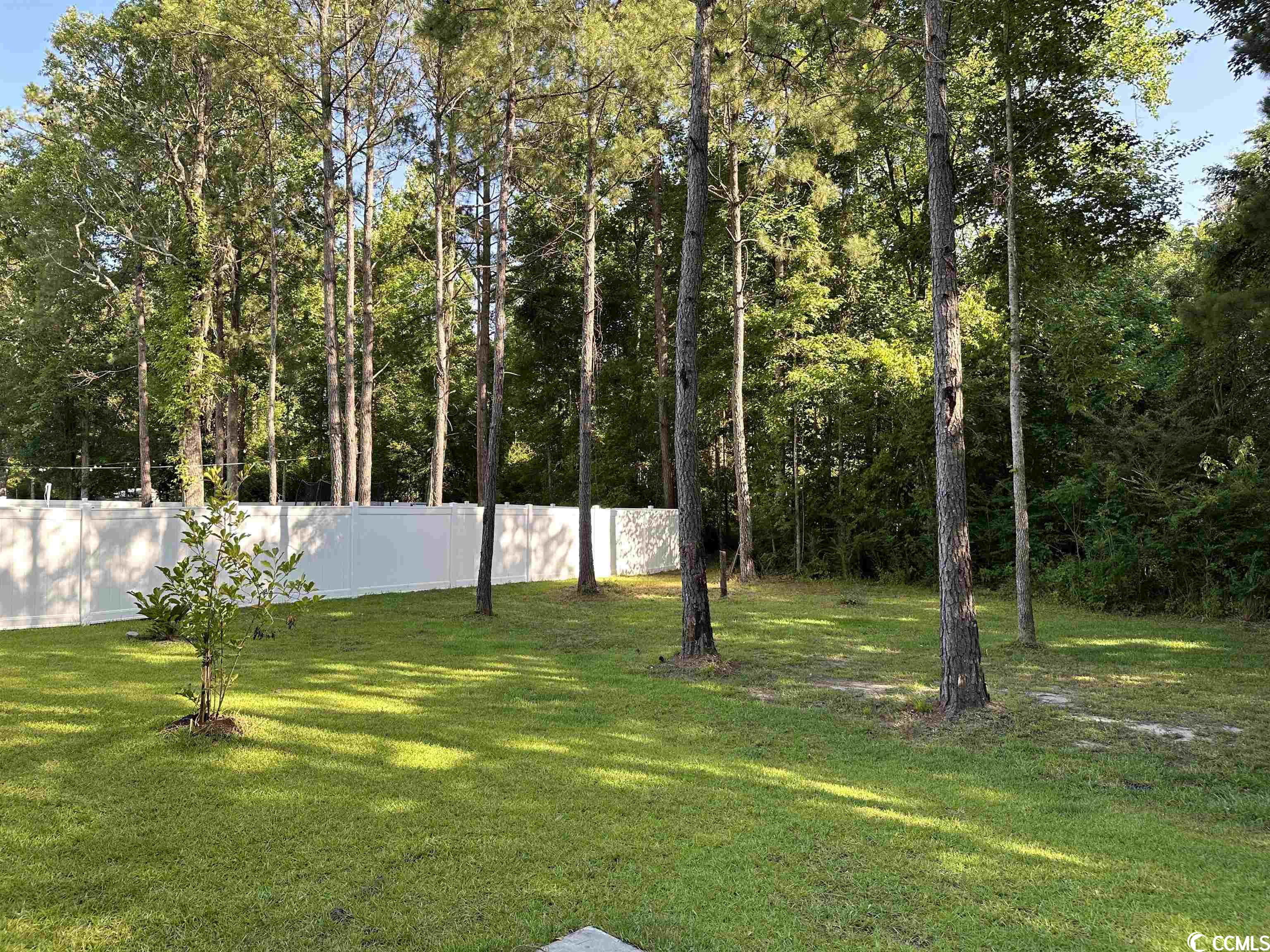 2810 Hardee Avenue Loris, SC 29569 - Photo 30 of 35 Gallery Image 30