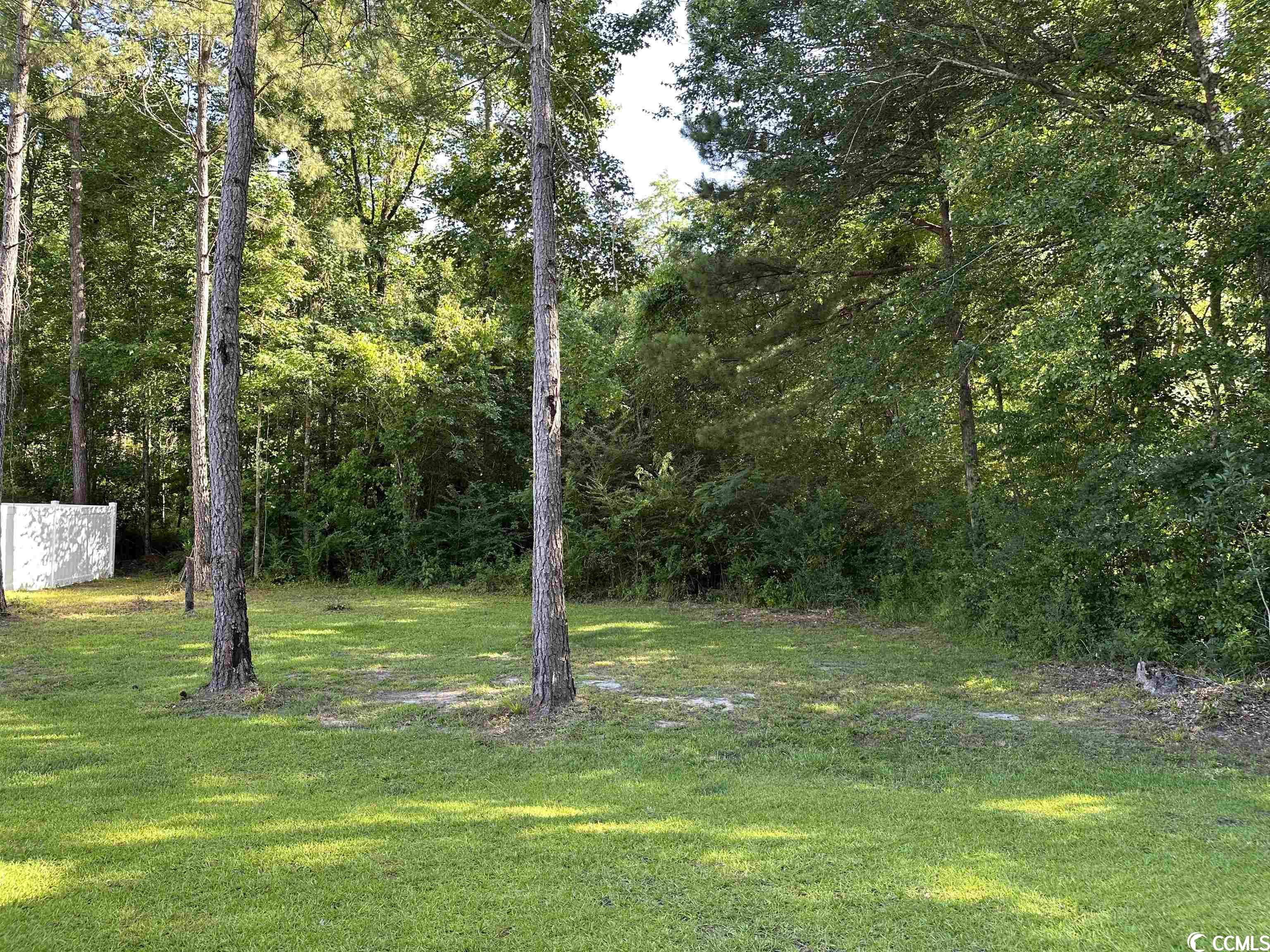 2810 Hardee Avenue Loris, SC 29569 - Photo 31 of 35 Gallery Image 31