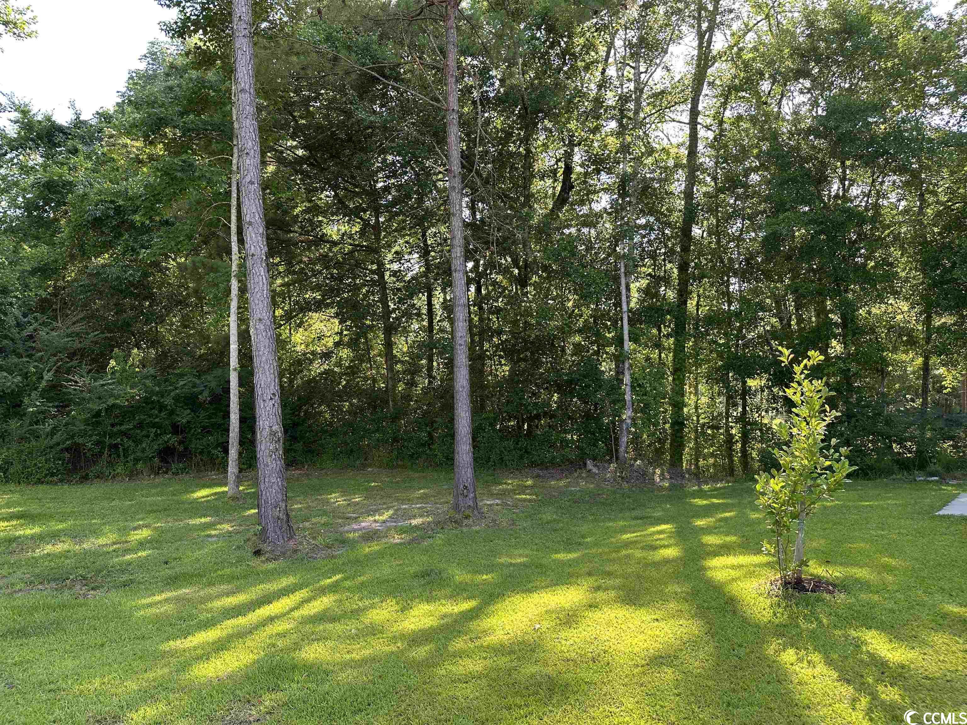 2810 Hardee Avenue Loris, SC 29569 - Photo 32 of 35 Gallery Image 32