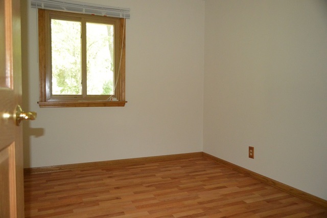 7 East Oltendorf Road Streamwood, IL 60107 - Photo 12 of 17 a view of empty room with wooden floor and fan