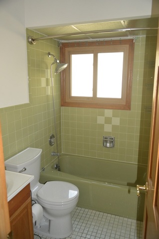 7 East Oltendorf Road Streamwood, IL 60107 - Photo 10 of 17 a bathroom with a toilet a sink and shower