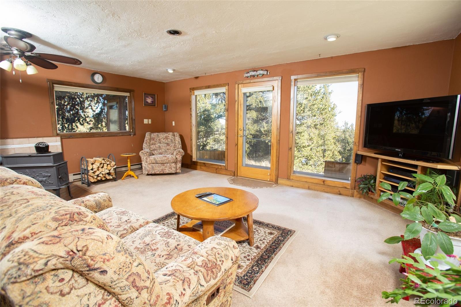 346 Quarry Road Fairplay, CO 80440 - Photo 23 of 35 Gallery Image 23