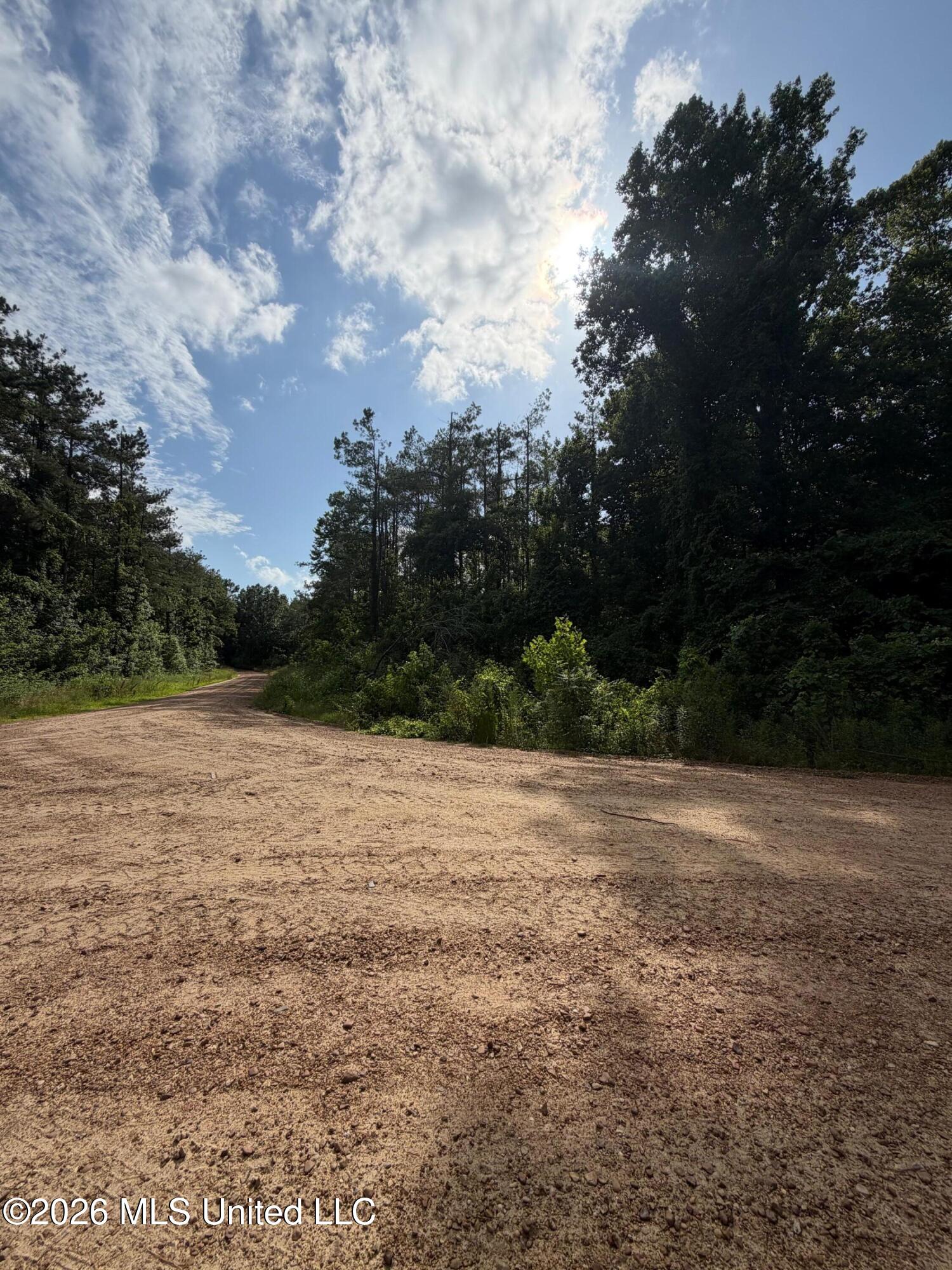 159 County Road Coila, MS 38923 - Photo 4 of 9 IMG_1299