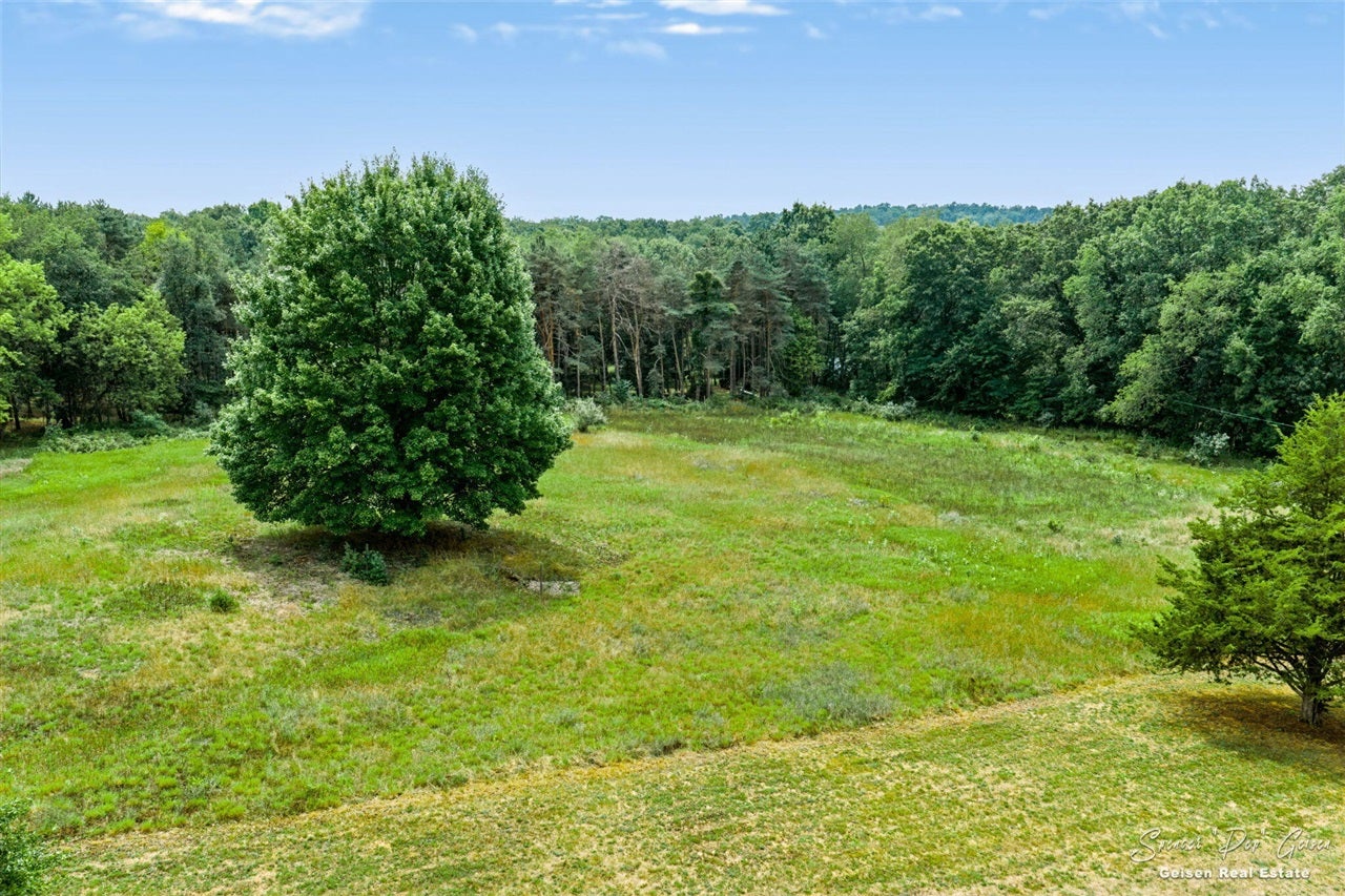 2168 Kellogg Road Ionia, MI 48846 - Photo 44 of 54 Gallery Image 44